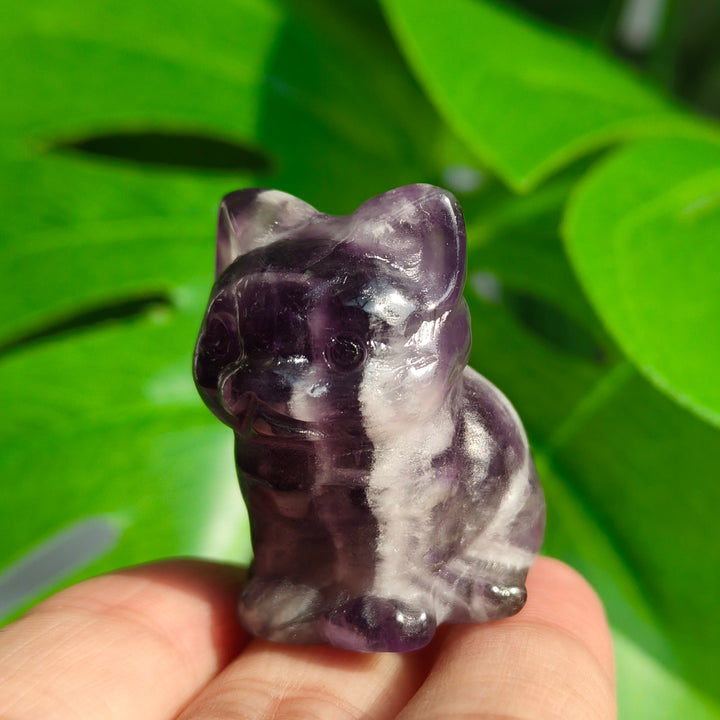 Dream Amethyst Mini Cat