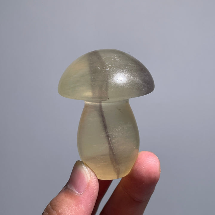 Caramel Mica With Fluorite Mushroom
