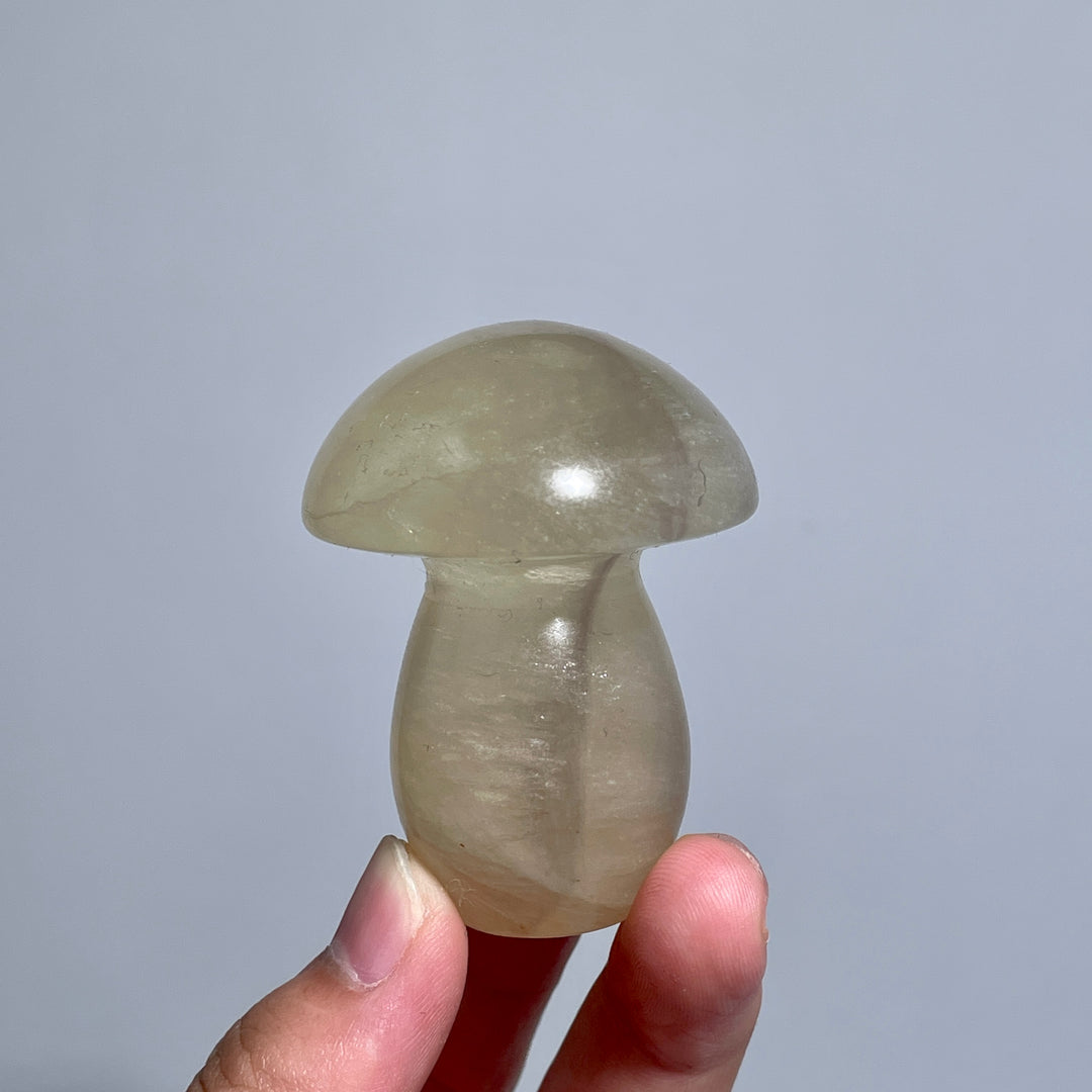 Caramel Mica With Fluorite Mushroom