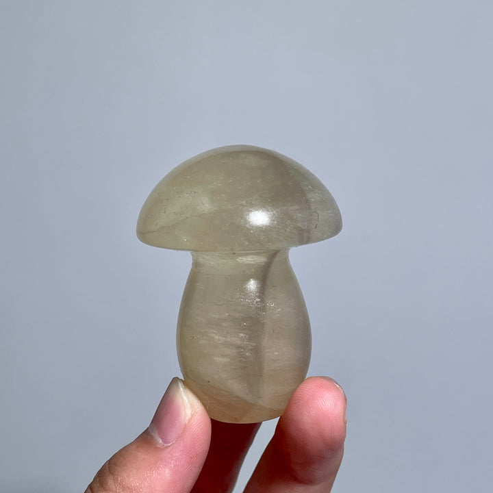 Caramel Mica With Fluorite Mushroom