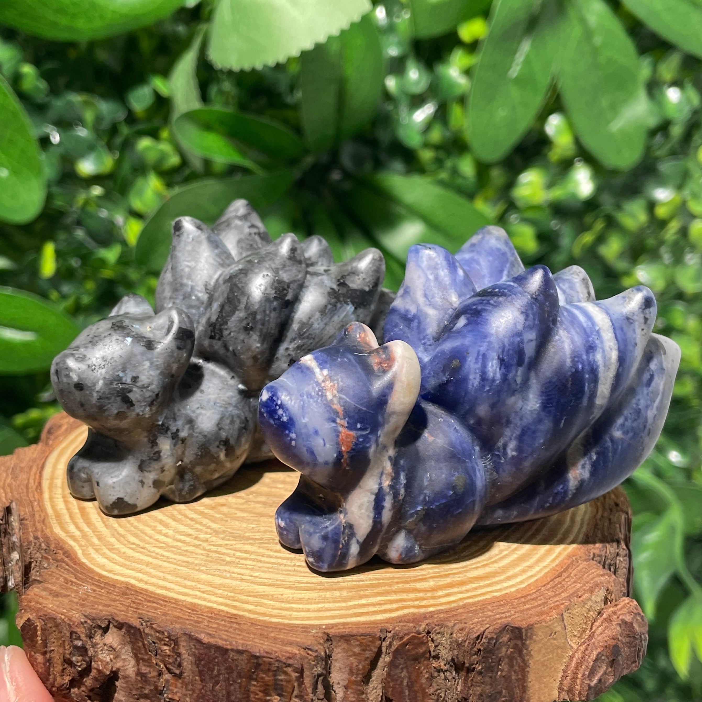 2025_08_07_16_25_IMG_7184_1.