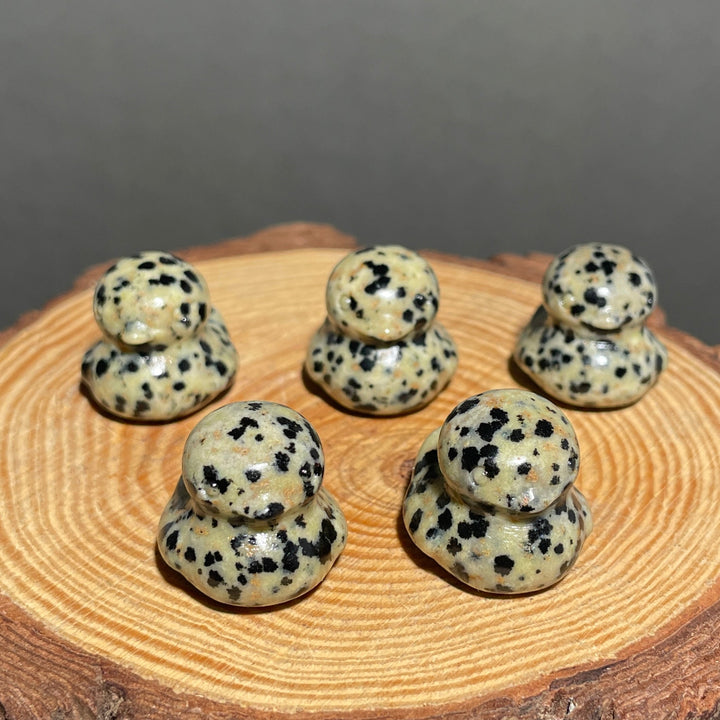 Dalmatian Jasper Duck
