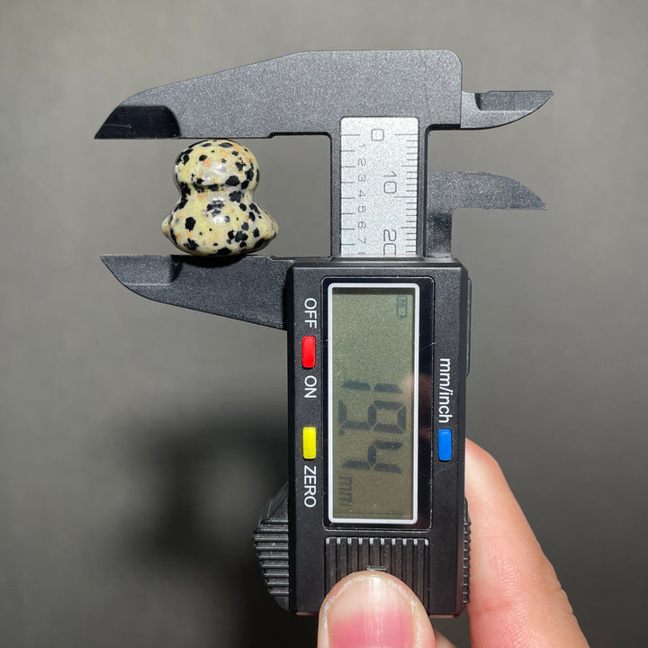 Dalmatian Jasper Duck