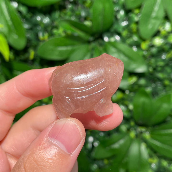 Crystal Carving Frog