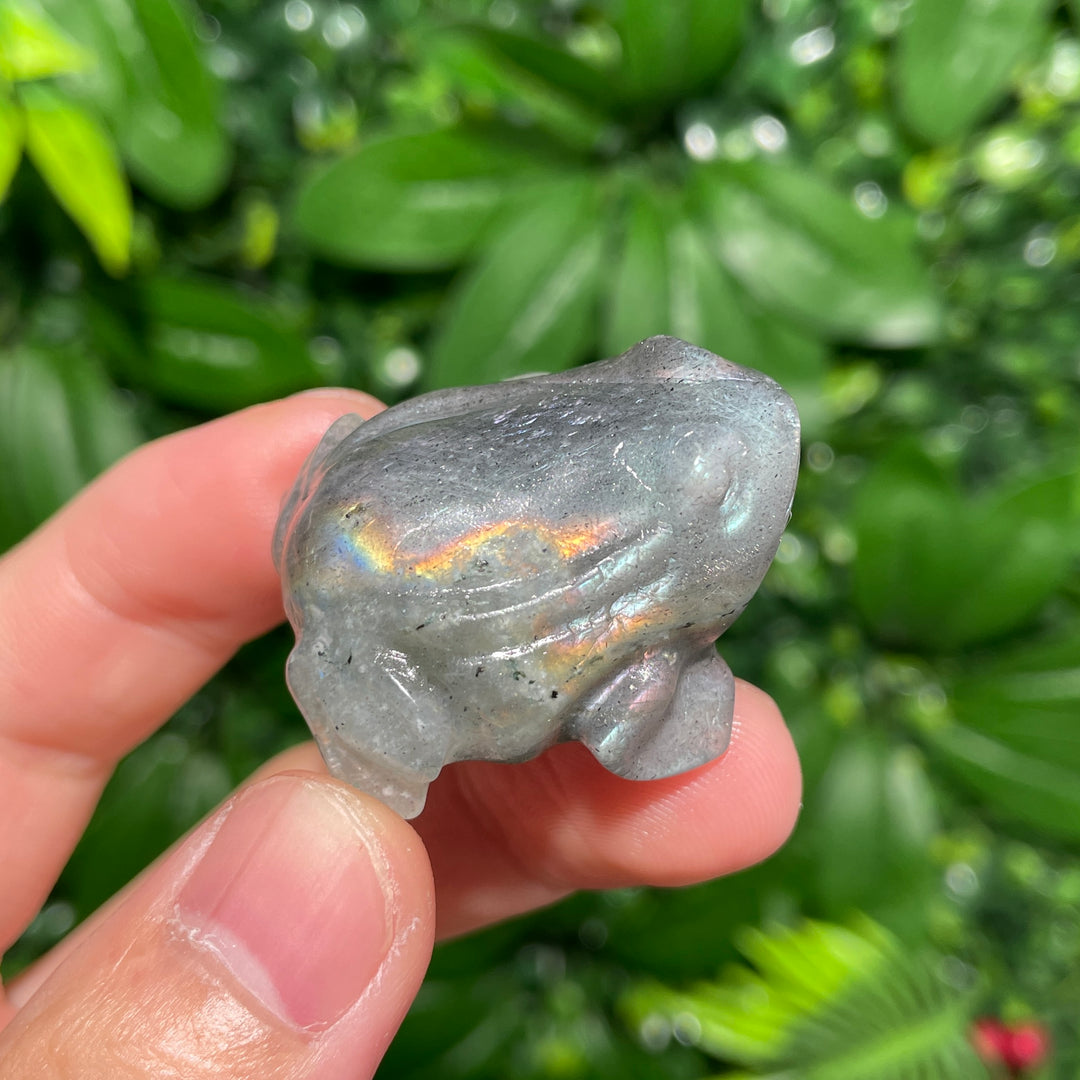 Crystal Carving Frog