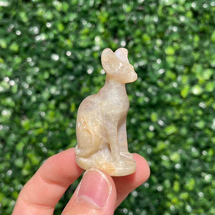 Moonstone Sphynx Cat