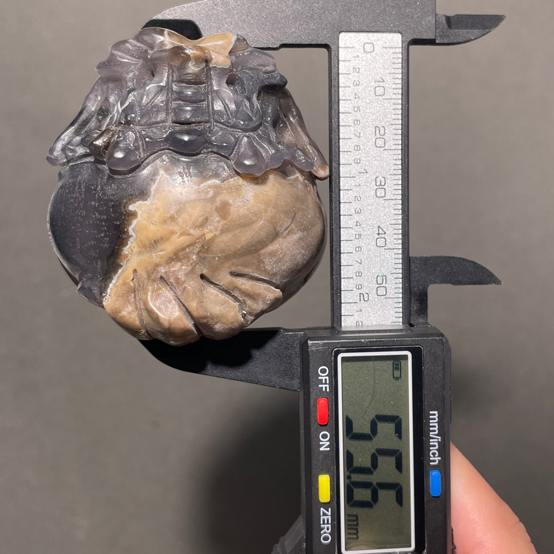 Volcanic Agate Dragon Turtle