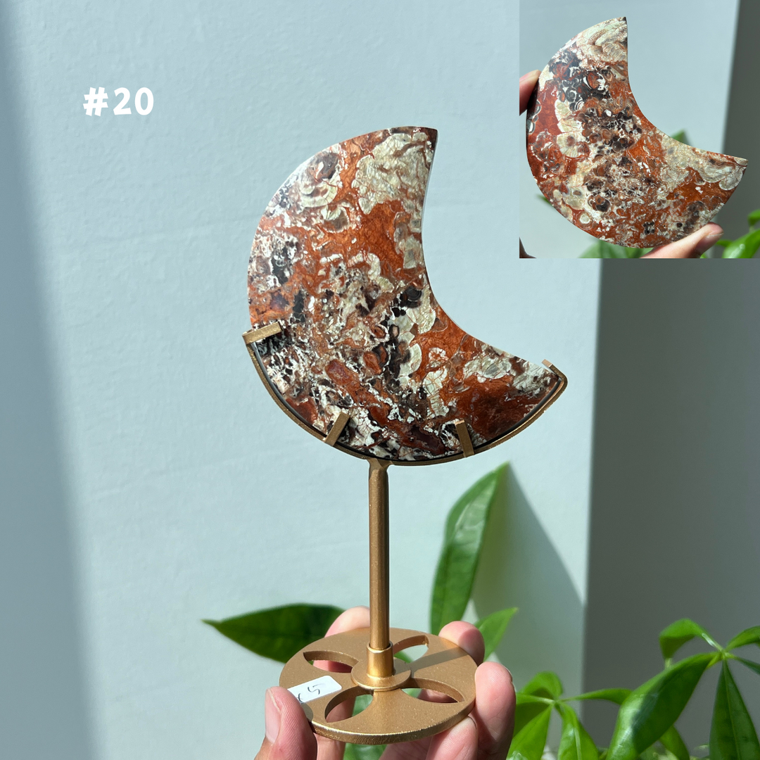 Unique,Money Agate Moon