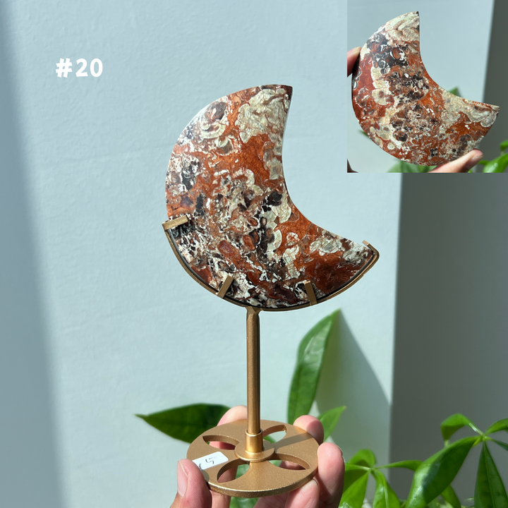 Unique,Money Agate Moon