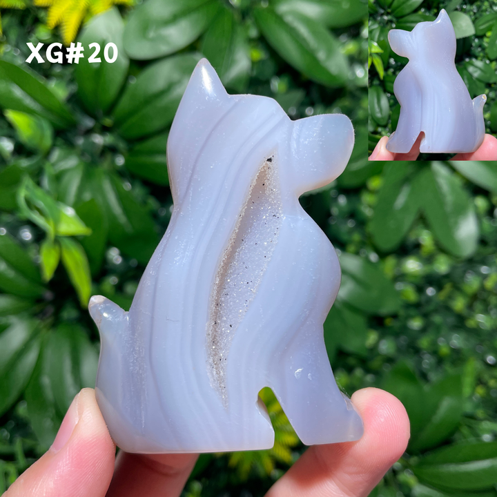 Unique, Agate Geode Dog