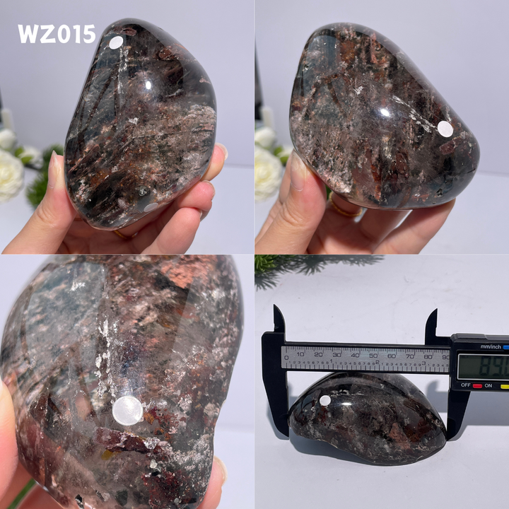 Chat afghan Jade avec troisième œil