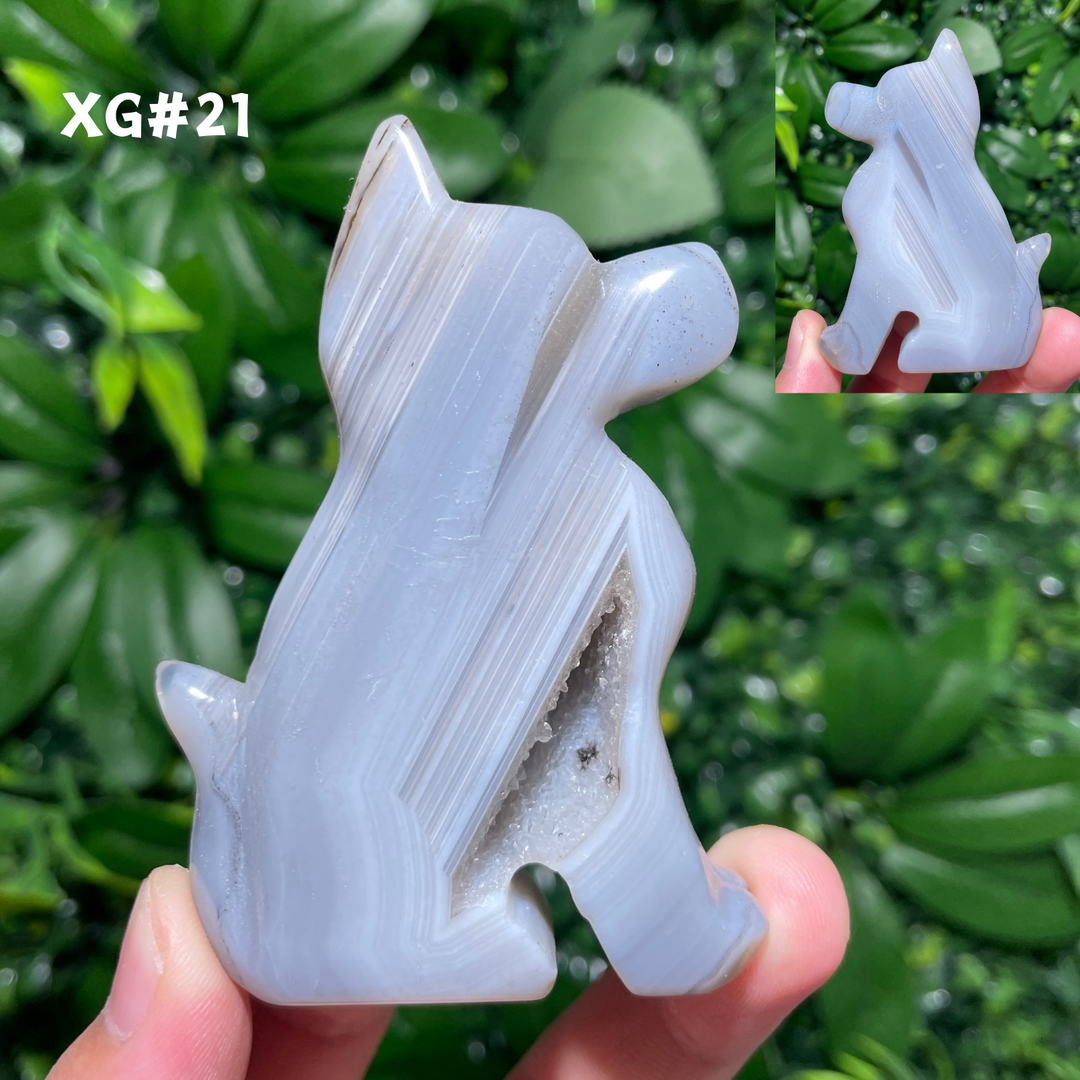 Unique, Agate Geode Dog