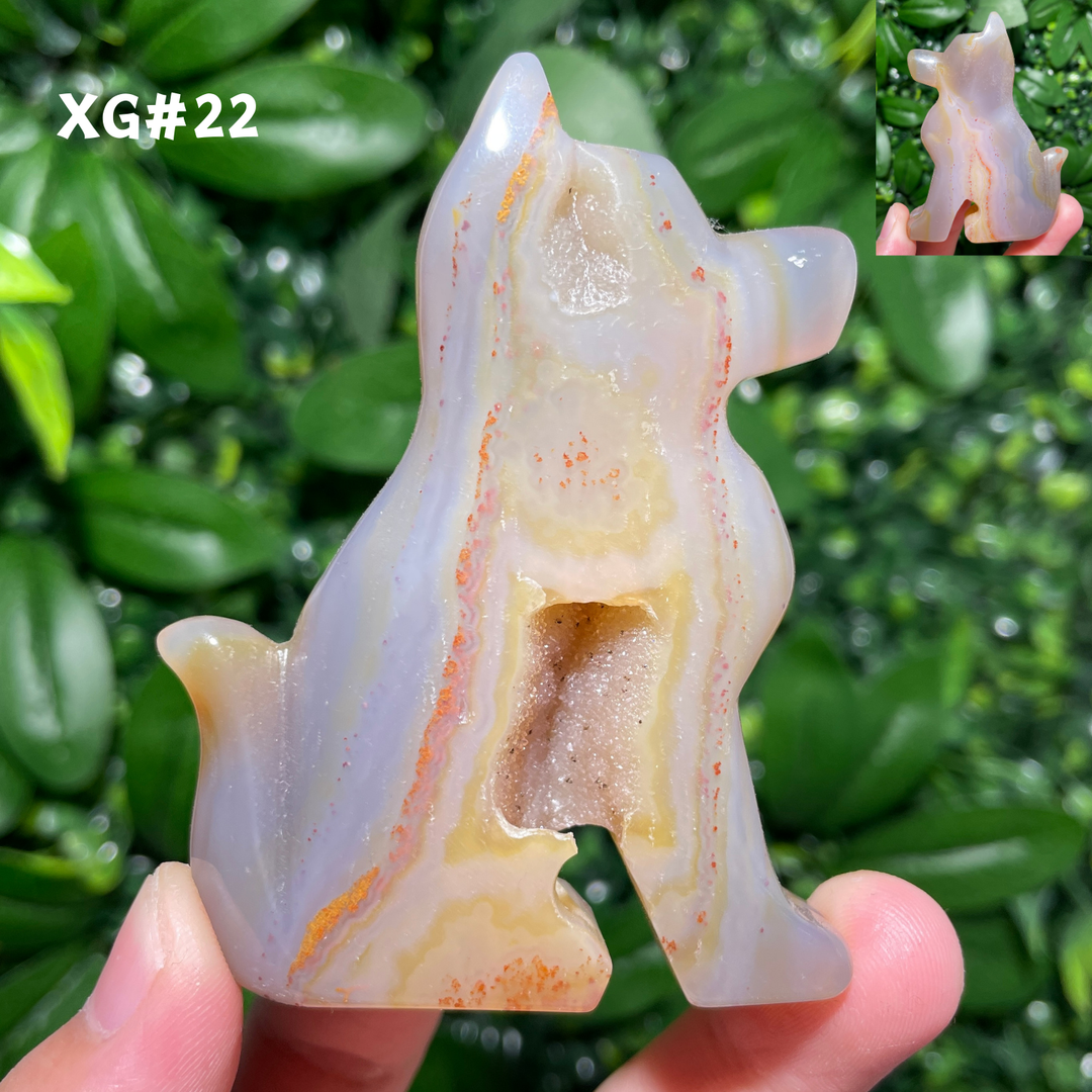 Unique, Agate Geode Dog