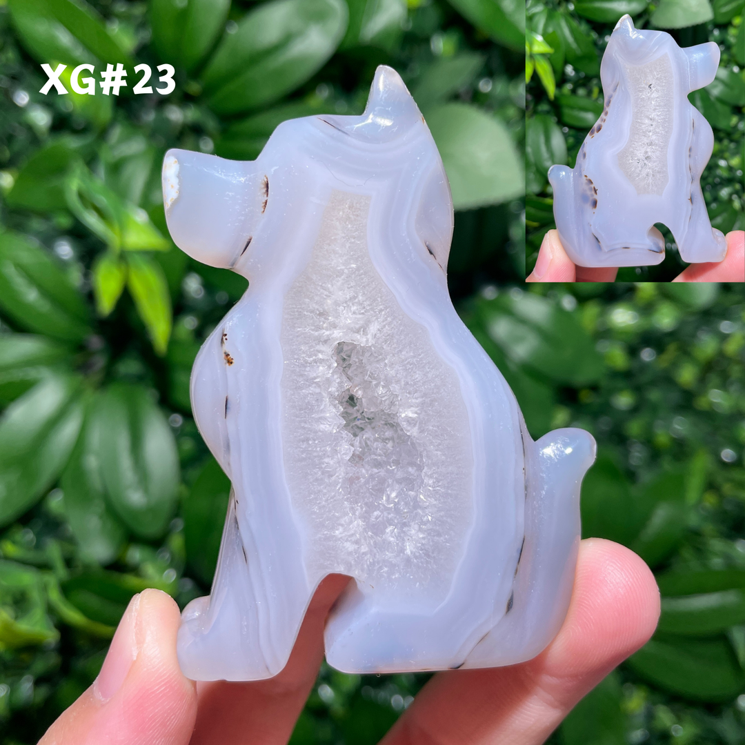 Unique, Agate Geode Dog