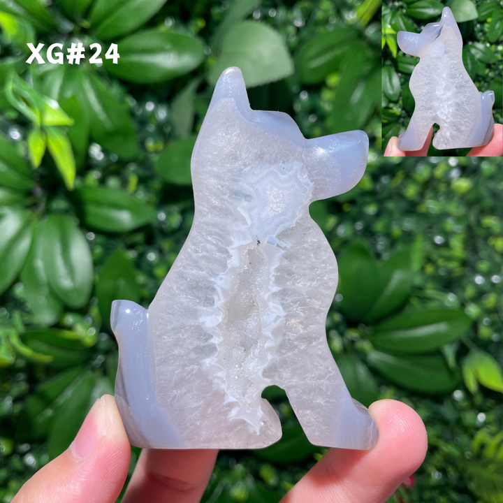 Unique, Agate Geode Dog