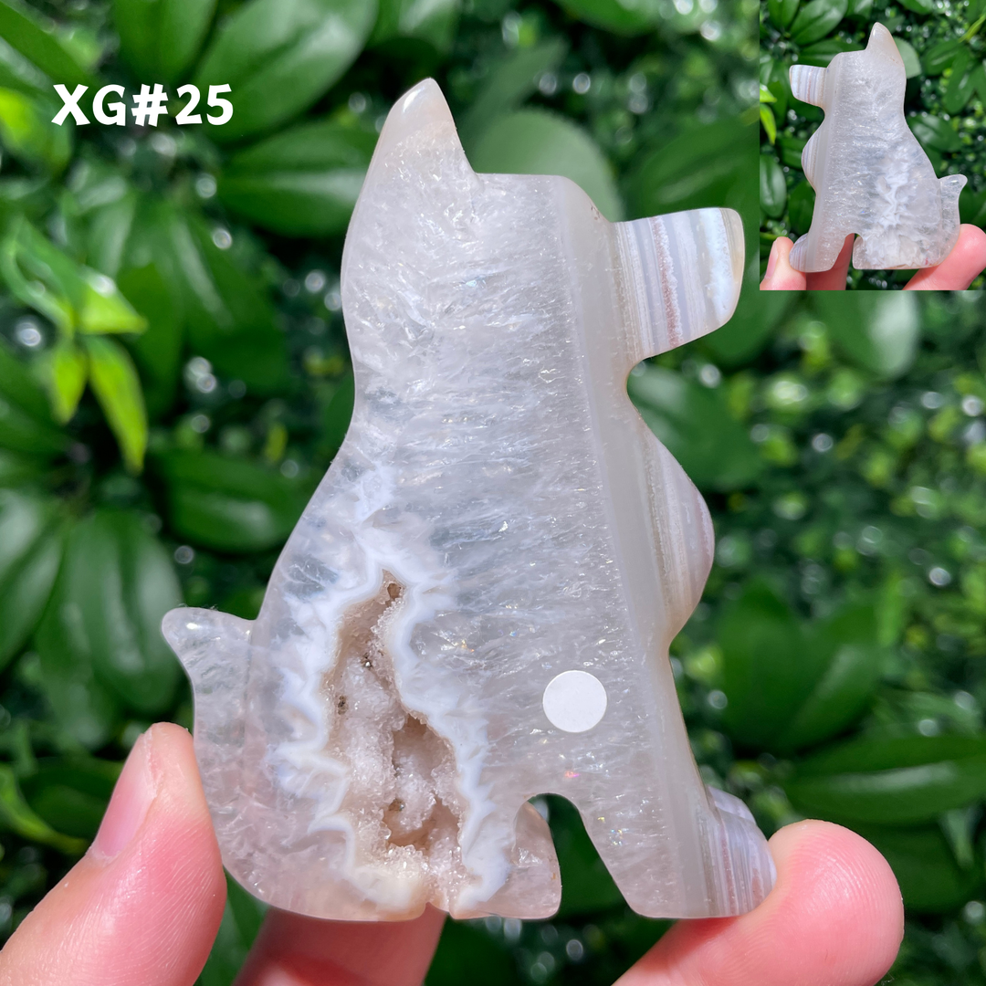 Unique, Agate Geode Dog