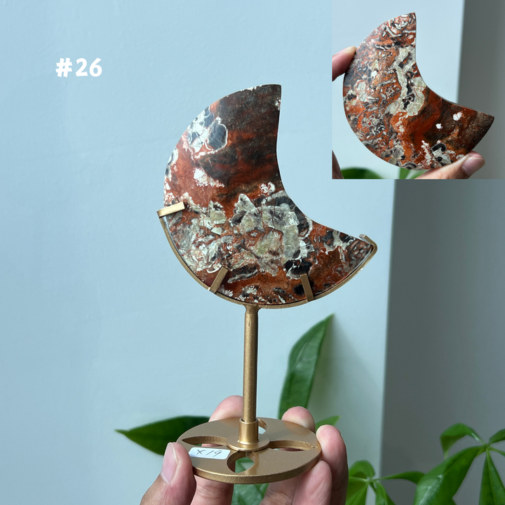 Unique,Money Agate Moon