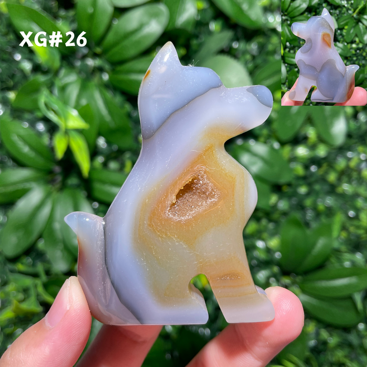 Unique, Agate Geode Dog