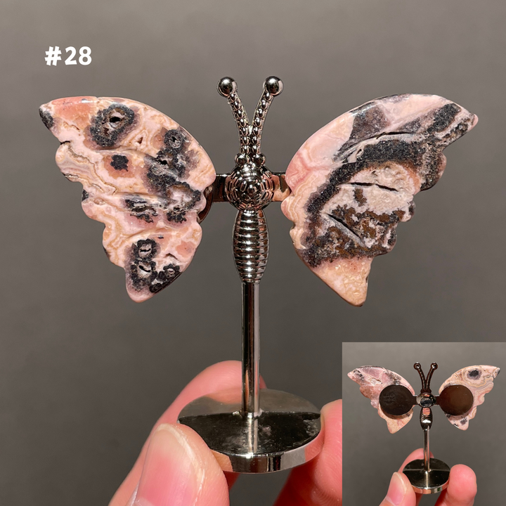 Unique,2.3"+Rhodochrosite Butterfly