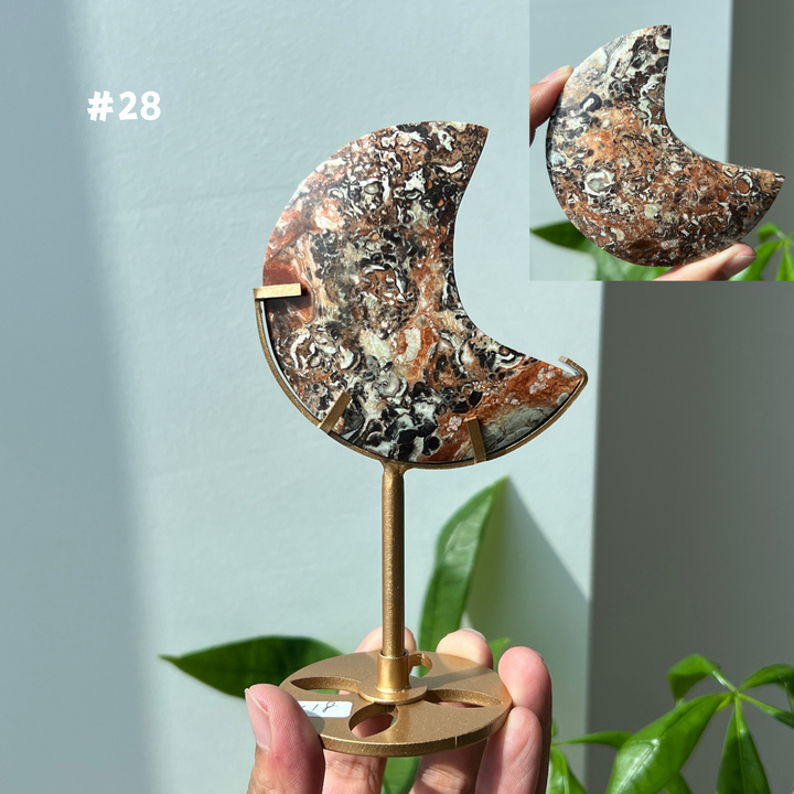 Unique,Money Agate Moon