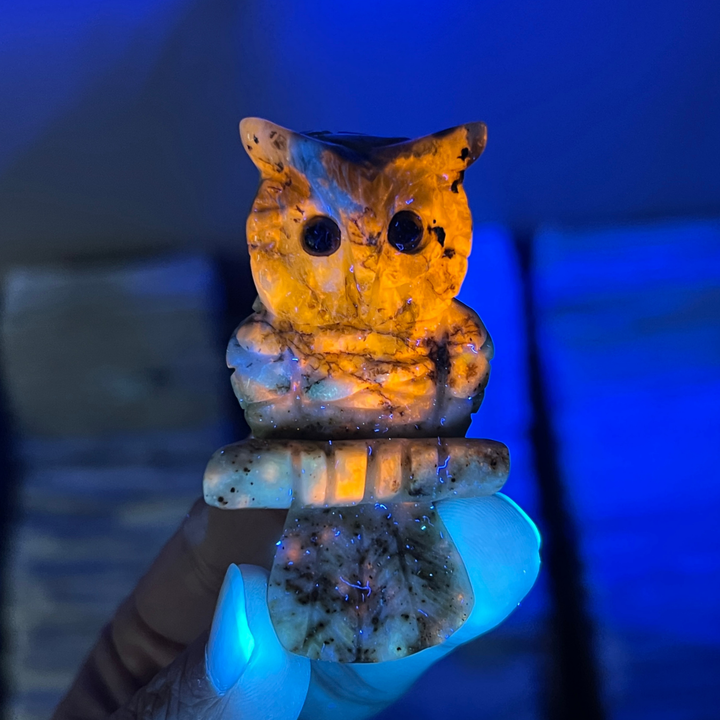 Natural Green and Blue Sodalite Owl