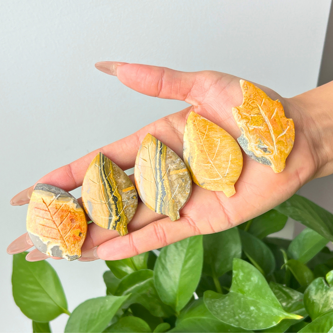 Bumble Bee Jasper Leaf