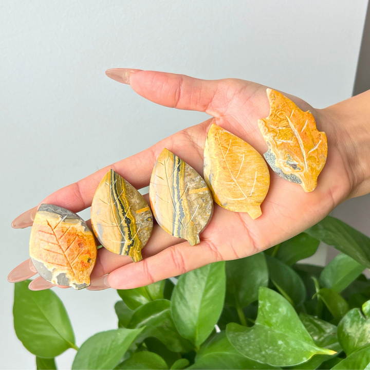 Bumble Bee Jasper Leaf