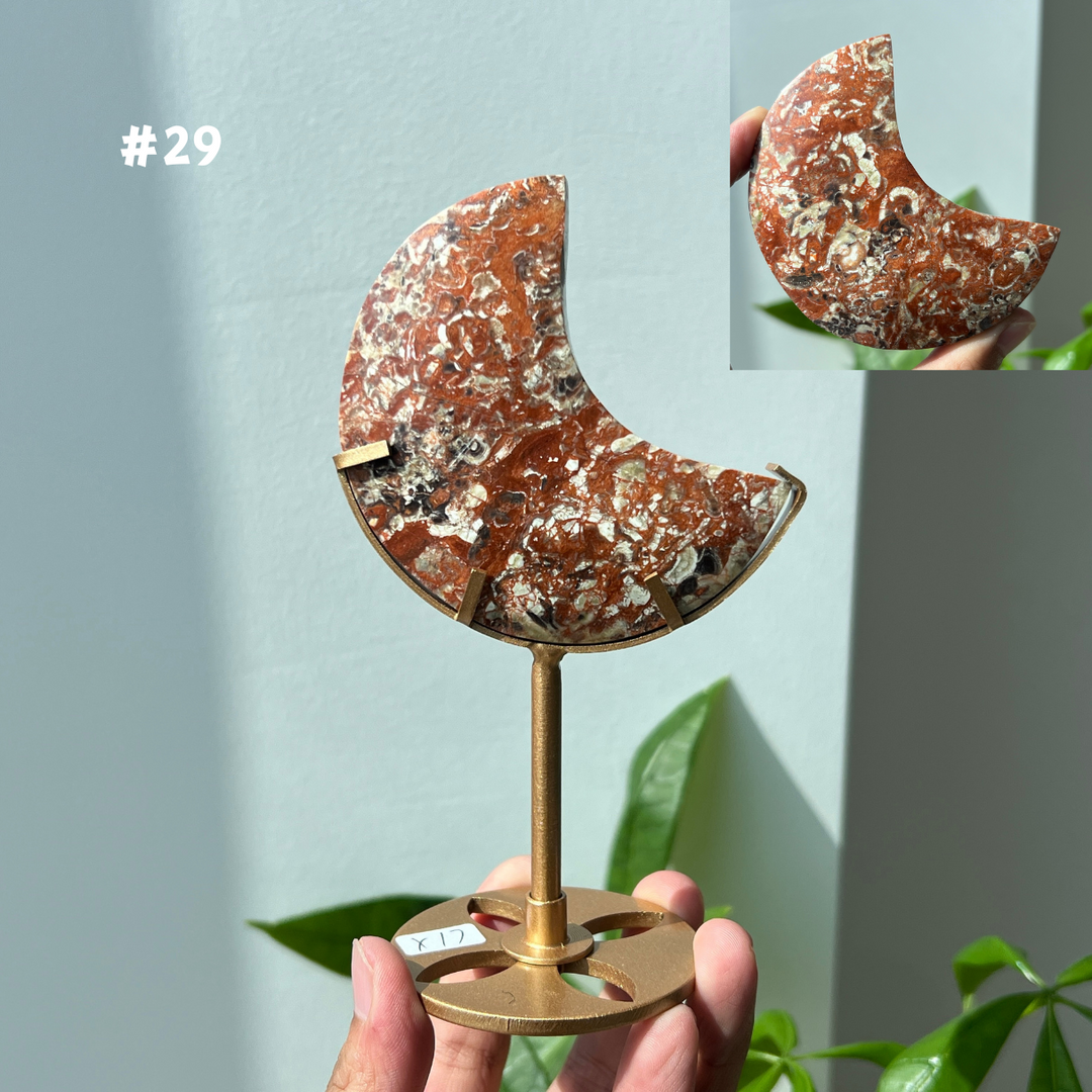 Unique,Money Agate Moon