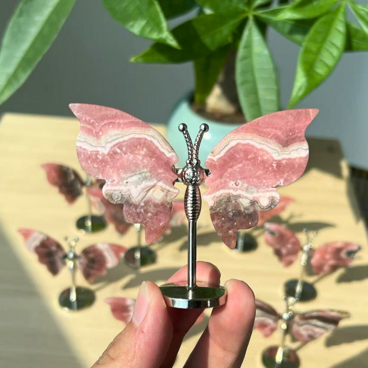 Unique,2.3"+Rhodochrosite Butterfly