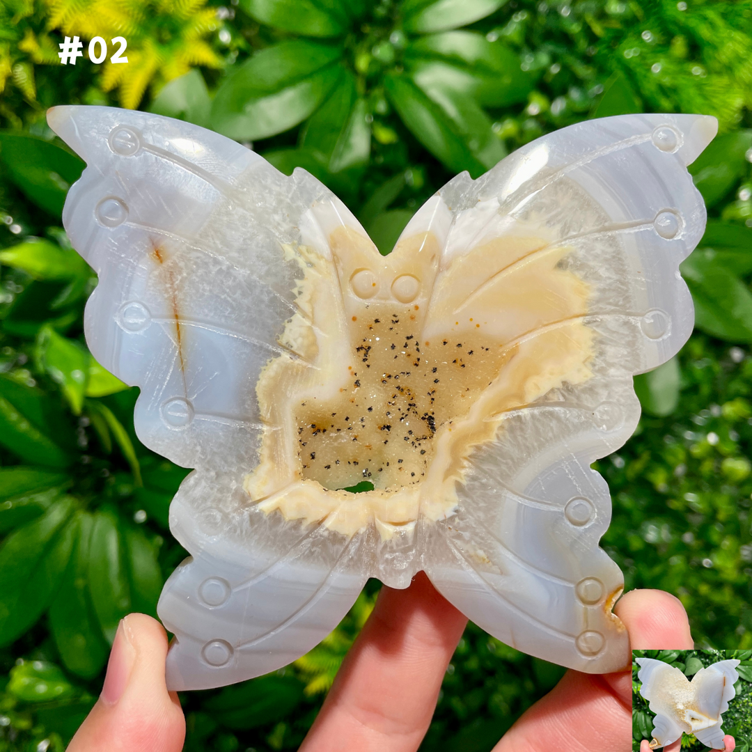 Unique,Agate Geode Butterfly