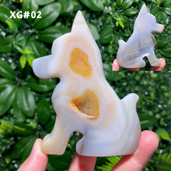 Unique, Agate Geode Dog