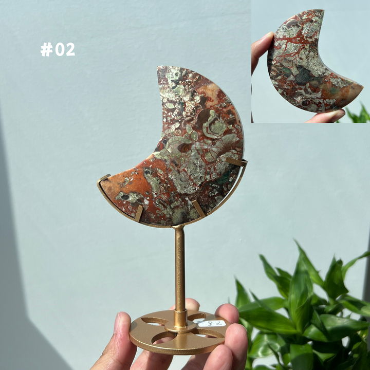 Unique,Money Agate Moon