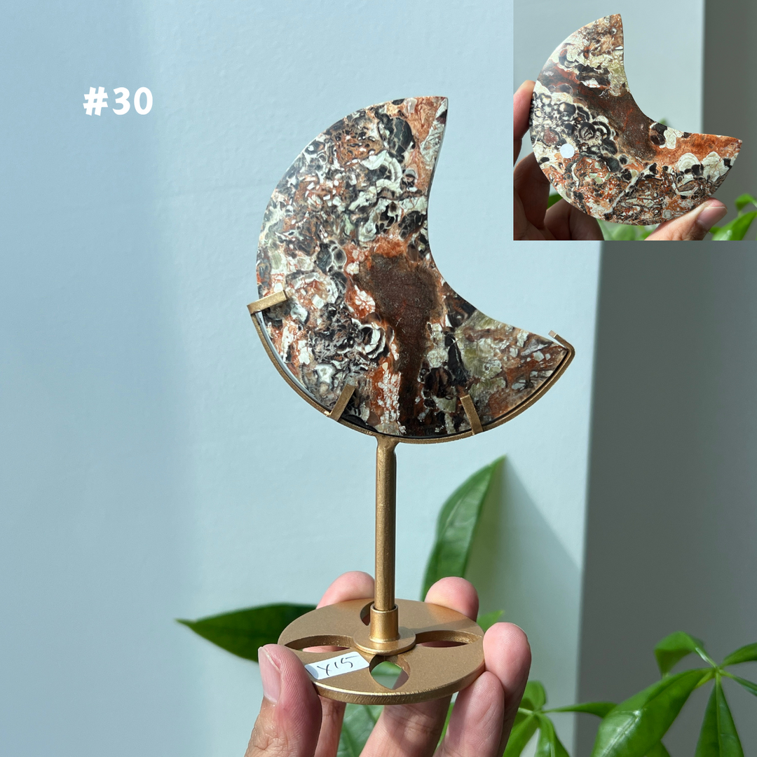 Unique,Money Agate Moon