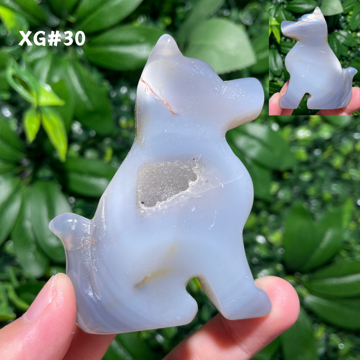 Unique, Agate Geode Dog