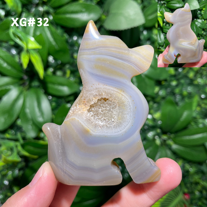 Unique, Agate Geode Dog