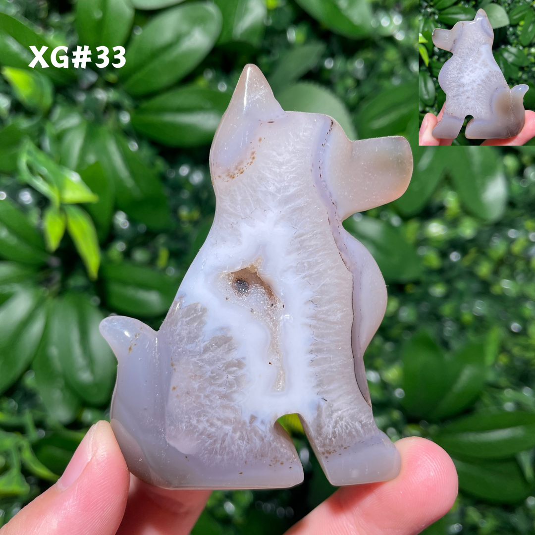 Unique, Agate Geode Dog