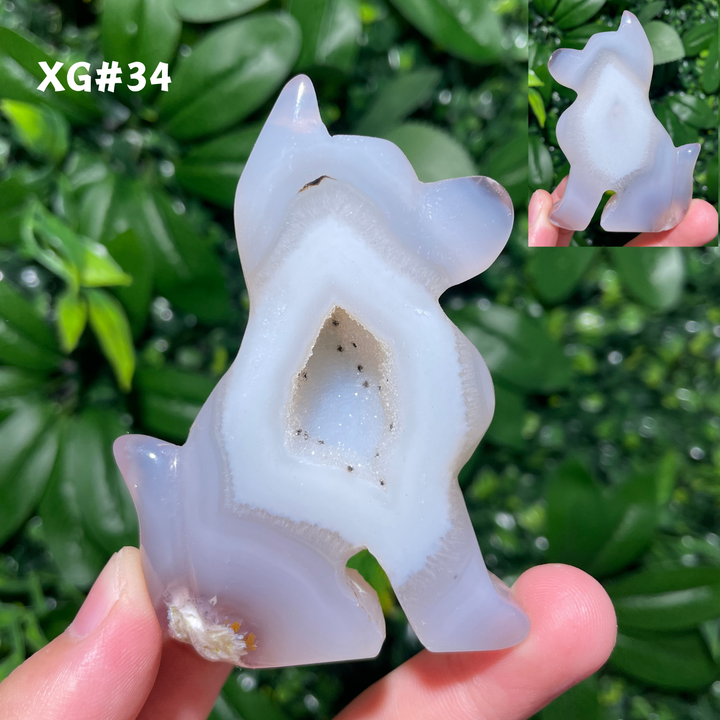 Unique, Agate Geode Dog