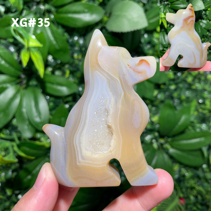 Unique, Agate Geode Dog