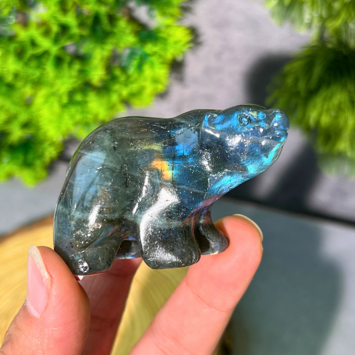 Polar Bear Carving