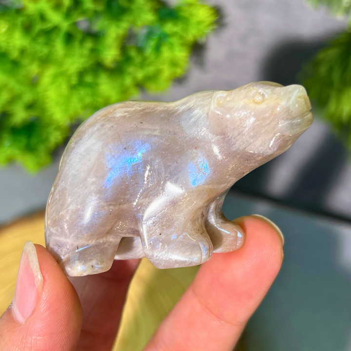 Polar Bear Carving