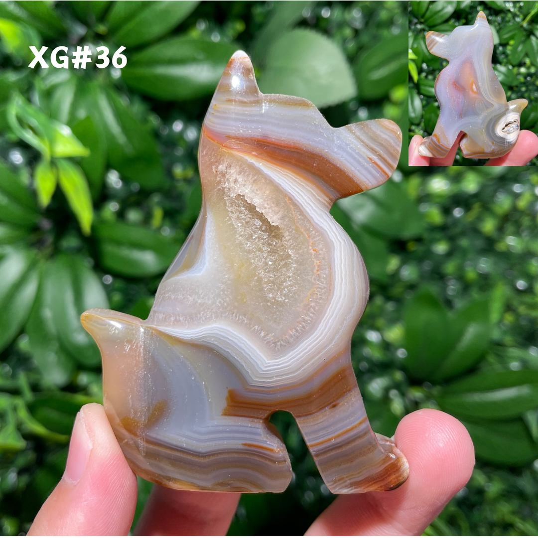 Unique, Agate Geode Dog