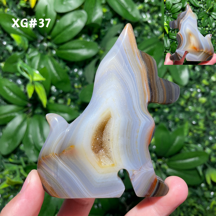 Unique, Agate Geode Dog