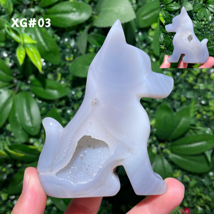 Unique, Agate Geode Dog