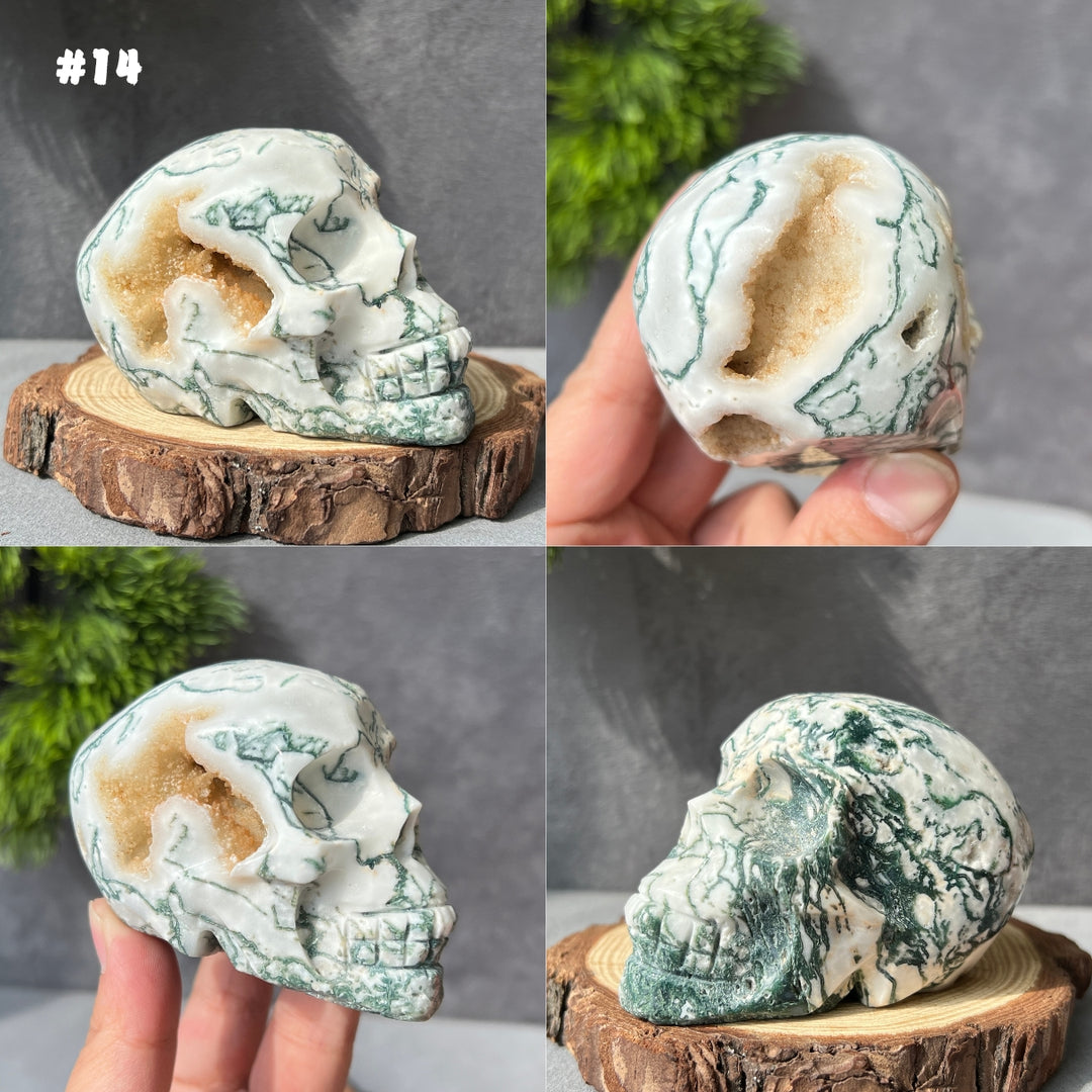 Moss Agate Skull