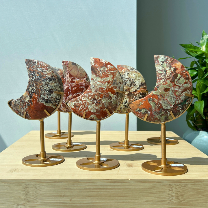 Unique,Money Agate Moon