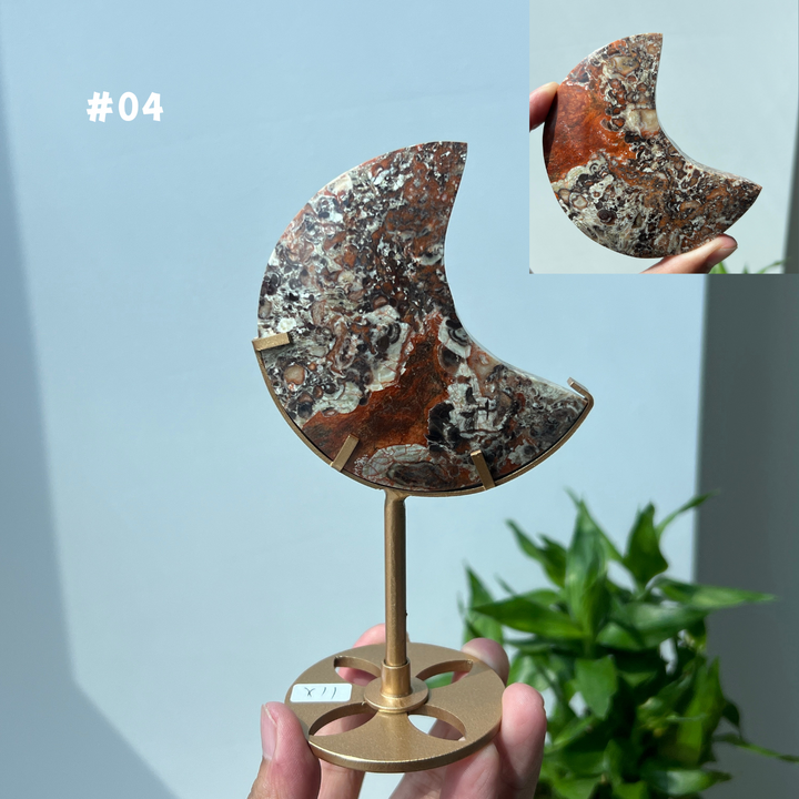 Unique,Money Agate Moon