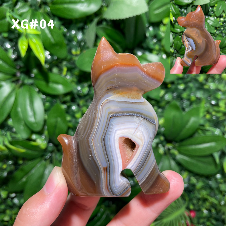Unique, Agate Geode Dog