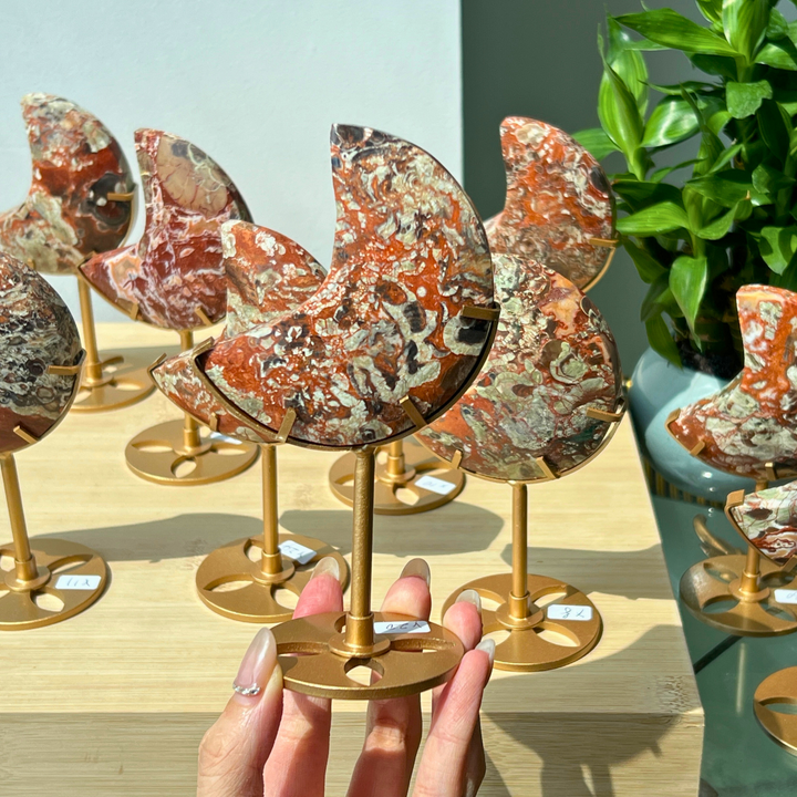 Unique,Money Agate Moon