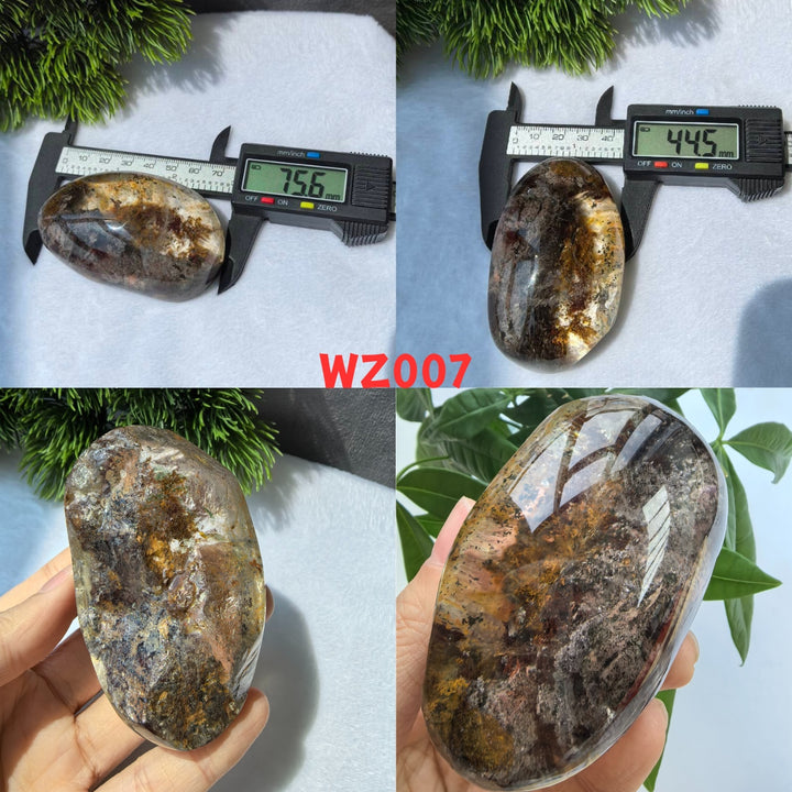 Chat afghan Jade avec troisième œil