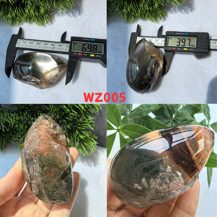 Chat afghan Jade avec troisième œil
